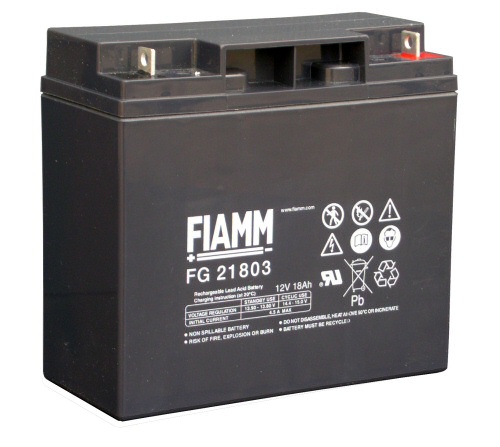 �������������� ������� Fiamm FG 21803