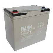 �������������� ������� Fiamm 12FGL55