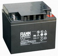 �������������� ������� Fiamm FG 24204